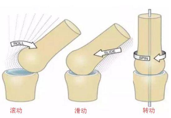 滚动、滑动、转动 - 关节松动的基本方法