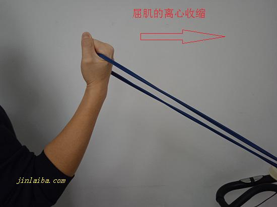 屈肌离心力量训练