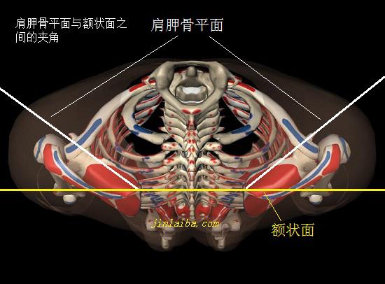 jianjiangupingmi1