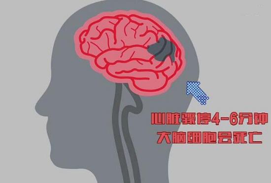 大脑缺氧耐受极限