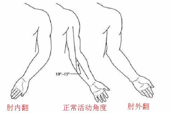 肘关节的外翻