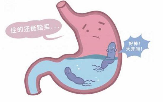 幽门螺杆菌