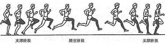 跑步动作周期