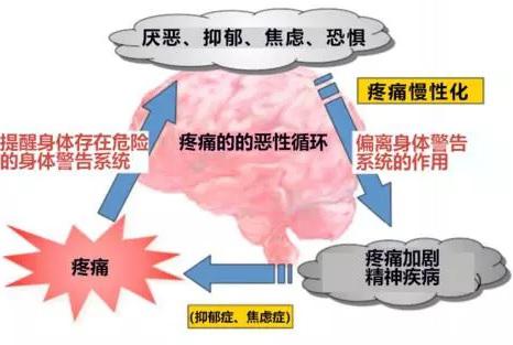 中枢神经调高疼痛敏感性的机制