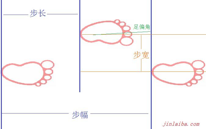 步长、步幅、步宽与足偏角