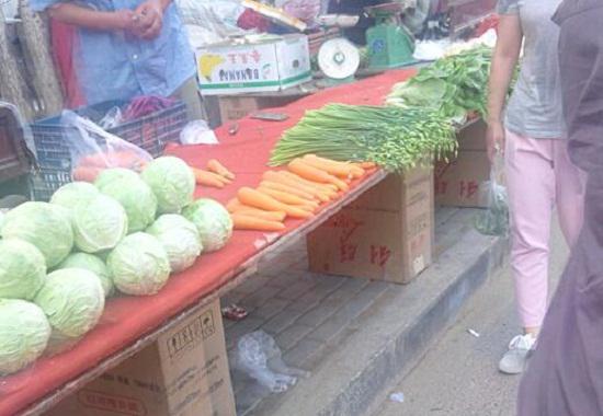 新鲜蔬菜