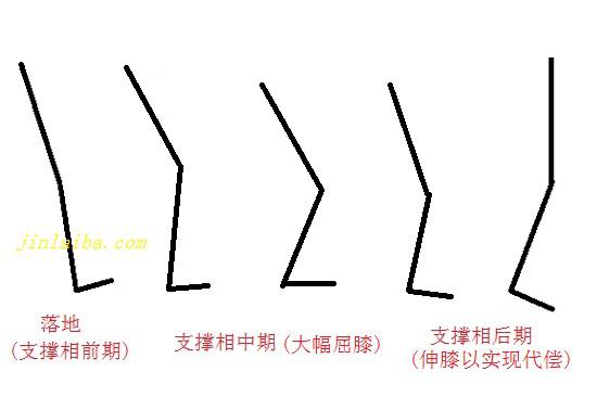 膝塌陷步态中的膝关节变化