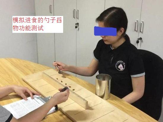 手功能评估