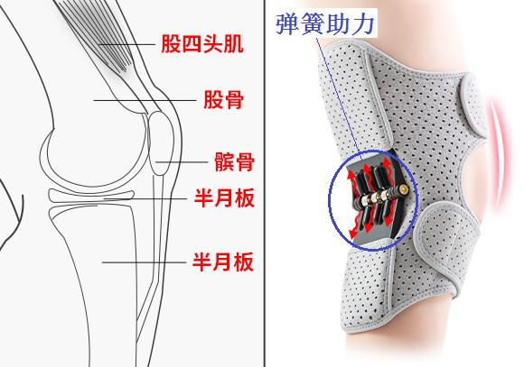 动力型膝关节矫形器