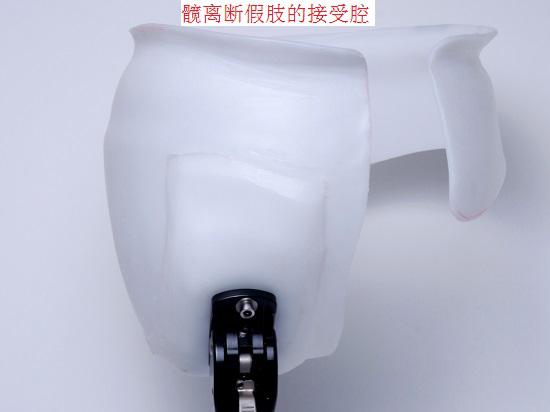 髋离断假肢