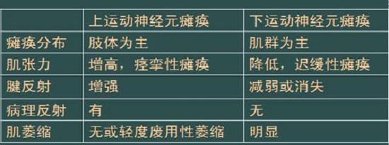 上运动神经元损伤和下运动神经元损伤的不同之处
