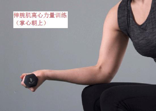 网球肘的运动疗法