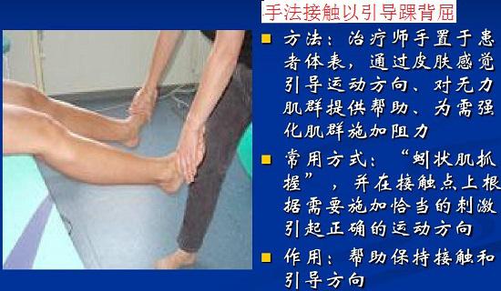 在PNF治疗中进行手法接触