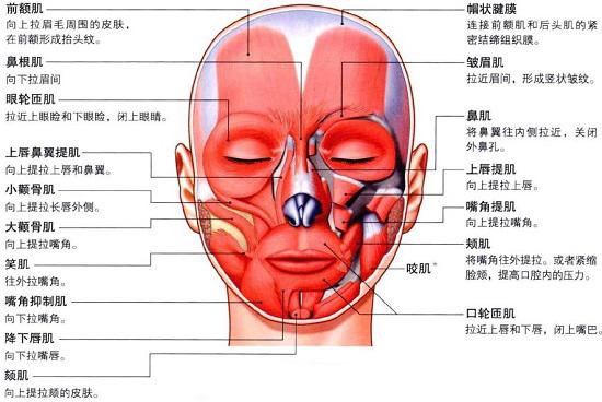 zhouwiekzhrk1