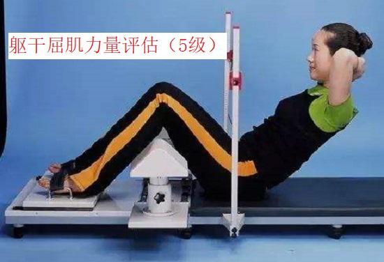 躯干屈肌力量评估
