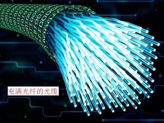 充满光纤的光缆（效果图）