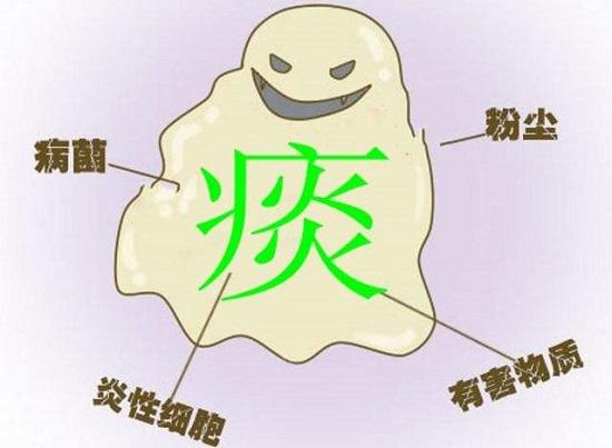 痰的构成