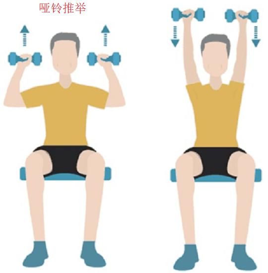 哑铃推举运动