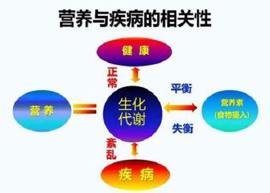 营养与疾病的相关性