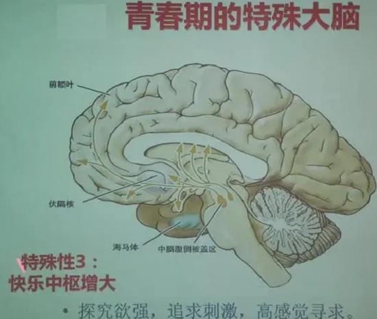 qingchpnq7