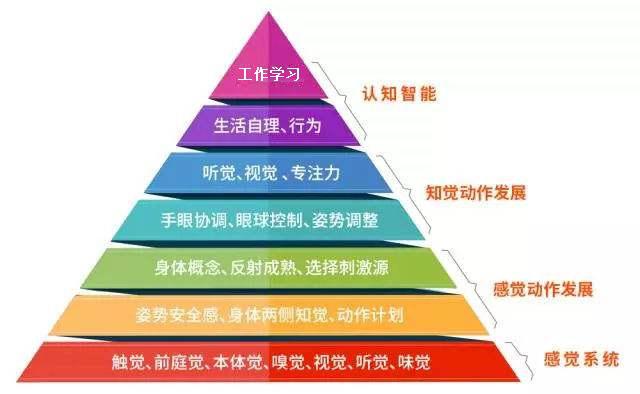 人体功能建立在感觉系统之上