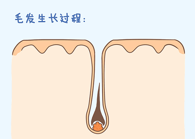nanxigtf1