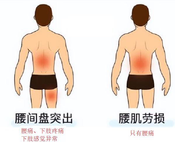 yaotusybss6