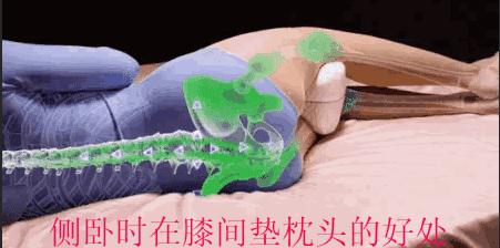yaozhuichuandk9